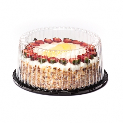 ظرف کیک بلند [CK01]